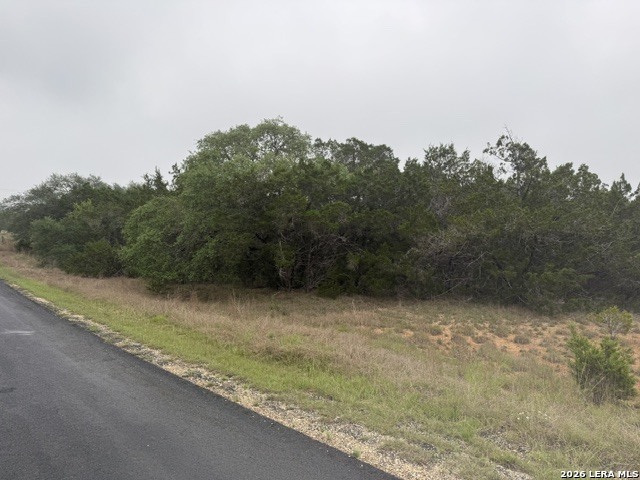 103 Buttermilk Lane Spring Branch, TX 78070 - Photo 2 of 4