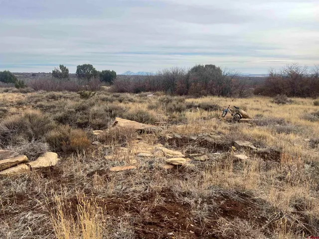a view of lake and mountain