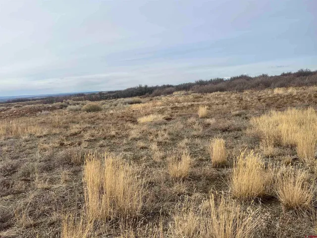 a view of city and river