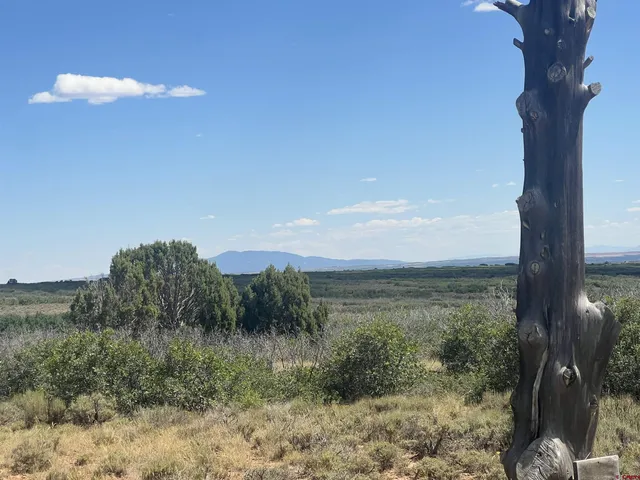 a view of a yard with mountains in the background