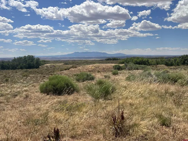 a view of a city with lots of trees
