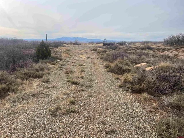 a view of a dry yard