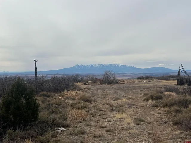 a view of a dry field with wooden fence