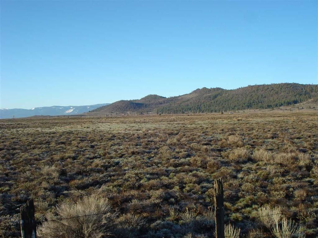 4705 Beckwourth Calpine Road Beckwourth, CA 96129 - Photo 4 of 11 Gallery Image 4
