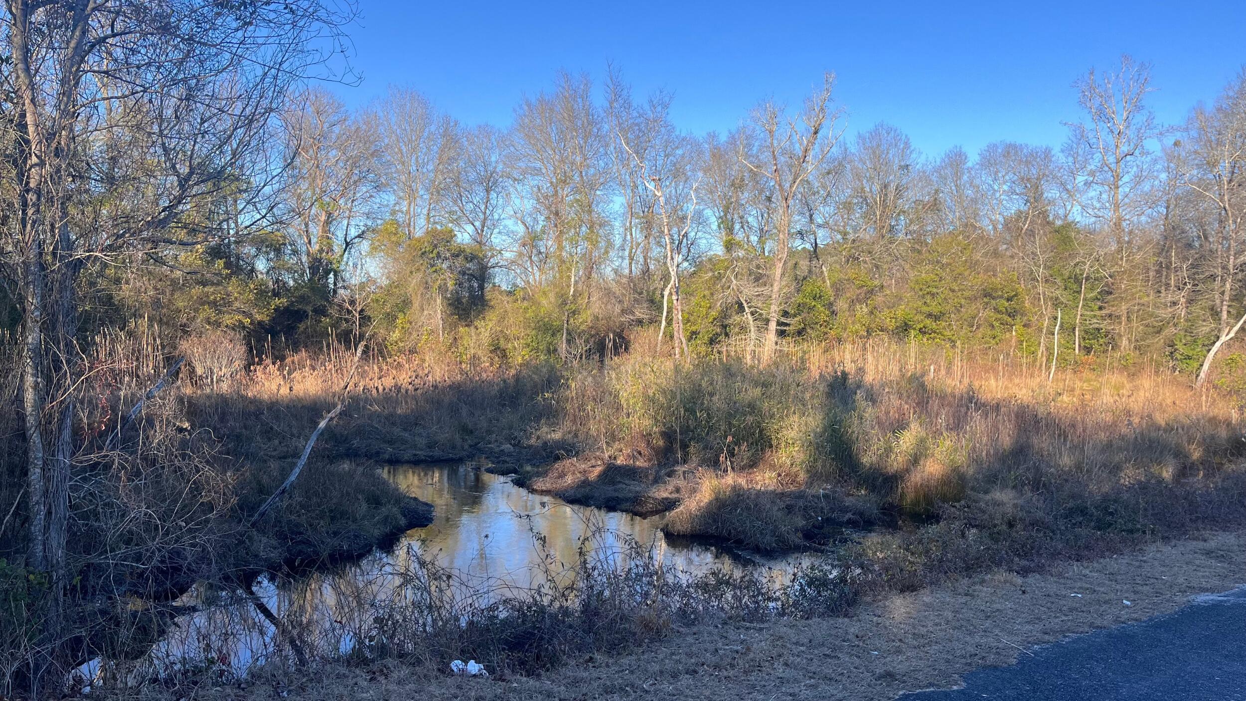 0 Millers Pond Road Salley, SC 29137 - Photo 25 of 28
