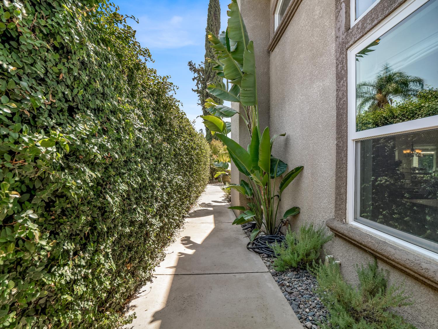 12 Breeze Way Madera, CA 93637 - Photo 45 of 48 a view of a yard with plants