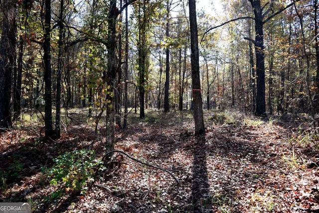 a view of outdoor space and trees