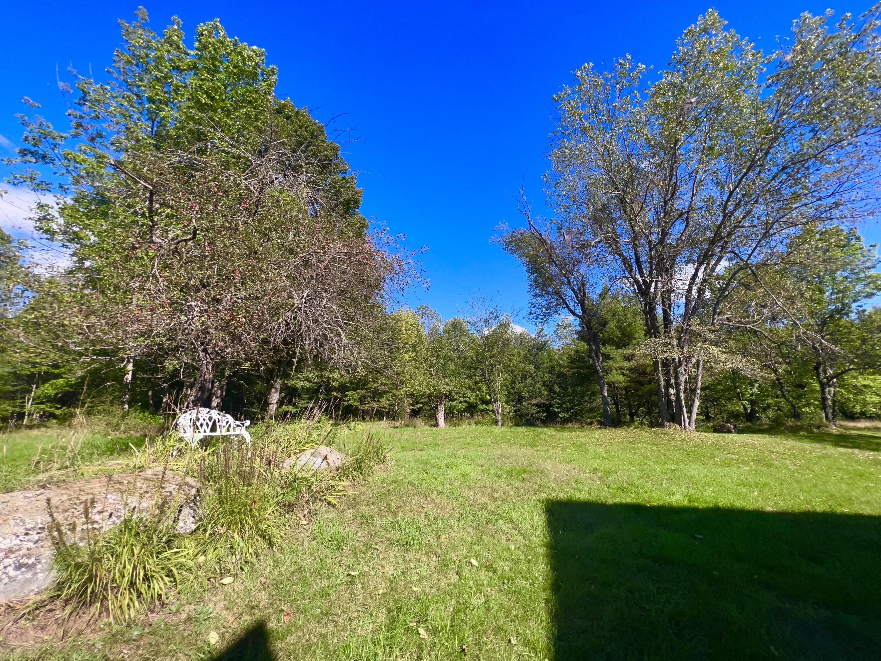 425 Phillips Road Weld, ME 04285 - Photo 49 of 56 Acreage