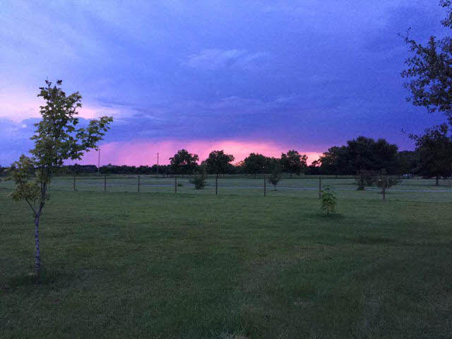 31671 Hagendorfer Road Lillian, AL 36549 - Photo 26 of 26