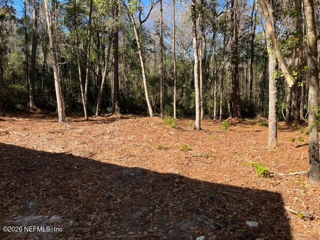 3966 Mustang Road Middleburg, FL 32068 - Photo 24 of 25 render.5AC0007E-6296-4A53-985E-758254036
