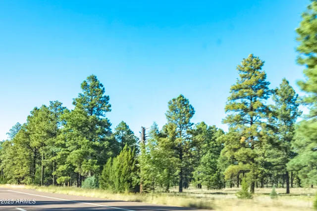 $145,000 | 2353 Quarter Horse Trail, Unit 238, Overgaard, AZ 85933