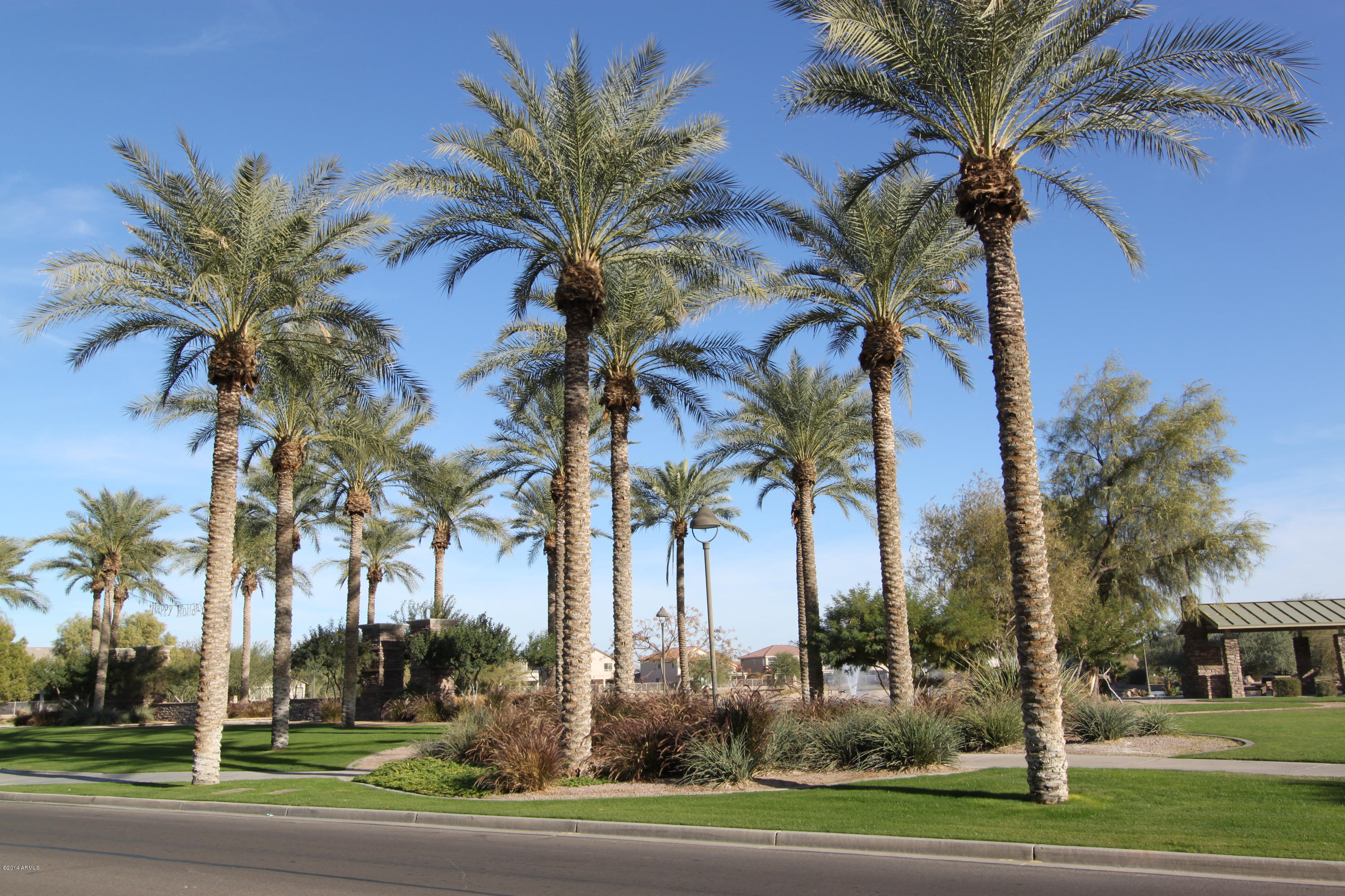42247 West Venture Road Maricopa, AZ 85138 - Photo 25 of 30 bishop 026