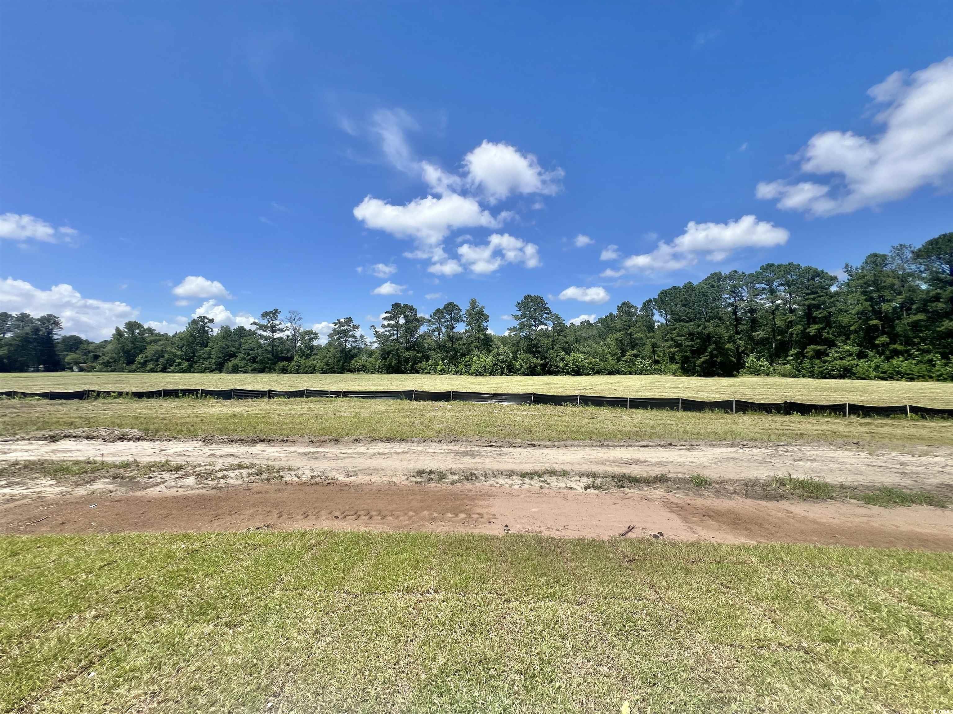 193 Norris Lane Loris, SC 29569 - Photo 2 of 30