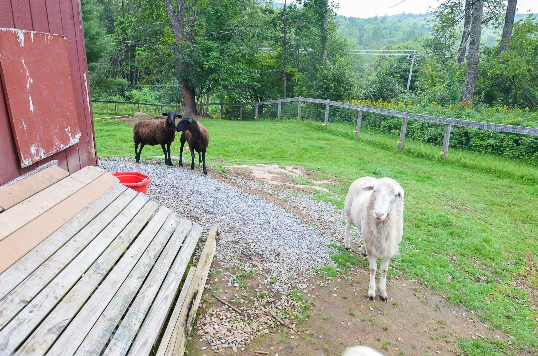 690 Trebo Road Chester, VT 05143 - Photo 39 of 40