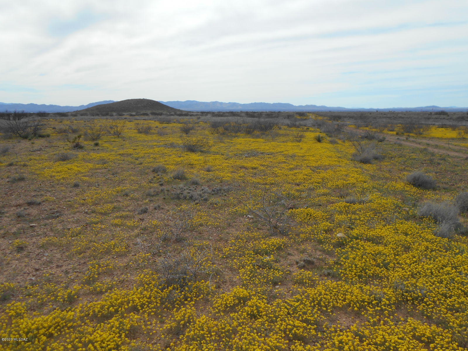 Tbd Double Ranch East McNeal, AZ 85617 - Photo 4 of 24 Gallery Image 4