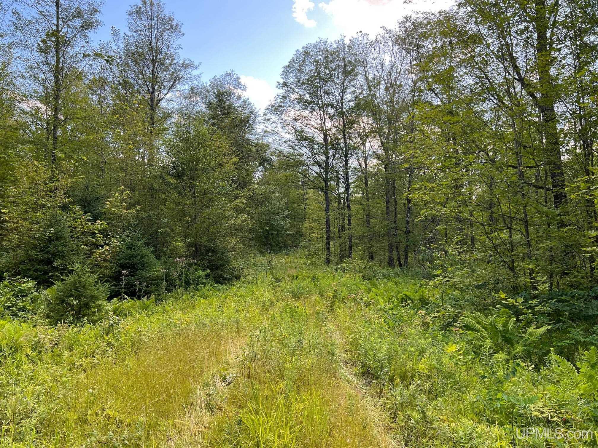 Tbd1 Cut Across Road Michigamme, MI 49861 - Photo 14 of 15