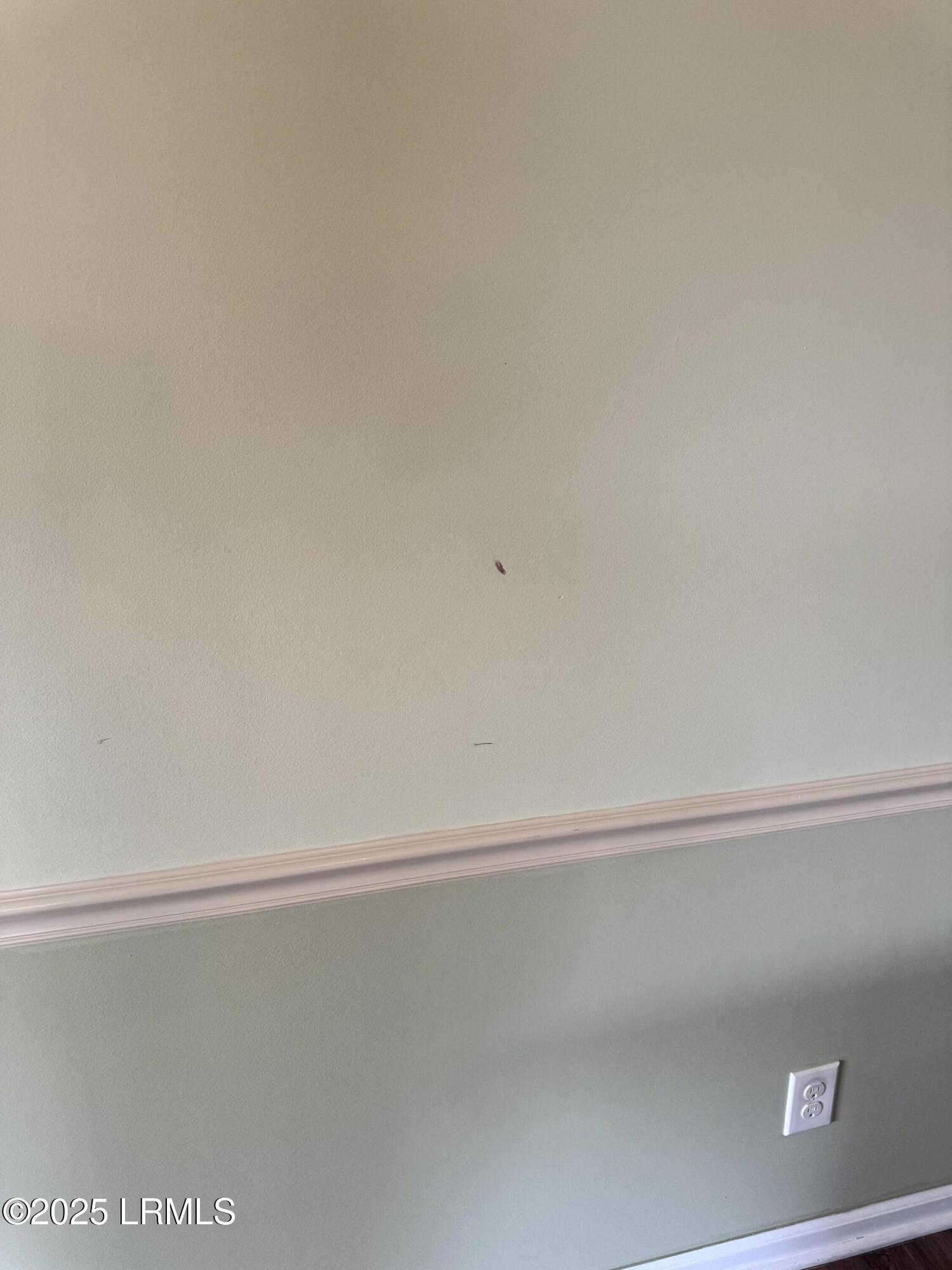 212 Horizon Trail Bluffton, SC 29910 - Photo 38 of 39 IMG_1956