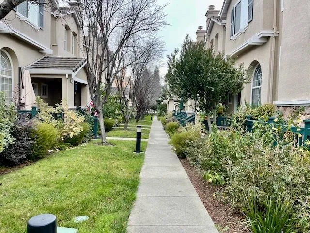 $3,800 | 211 Swan Court, Danville, CA 94506