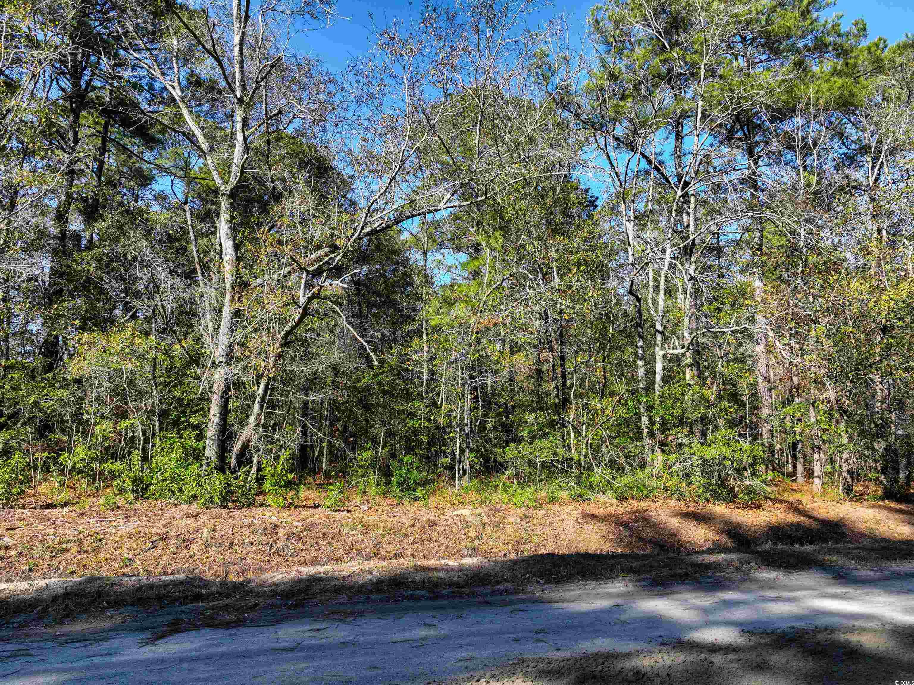 Tbd Sand Hill Bay Road Loris, SC 29569 - Photo 11 of 15