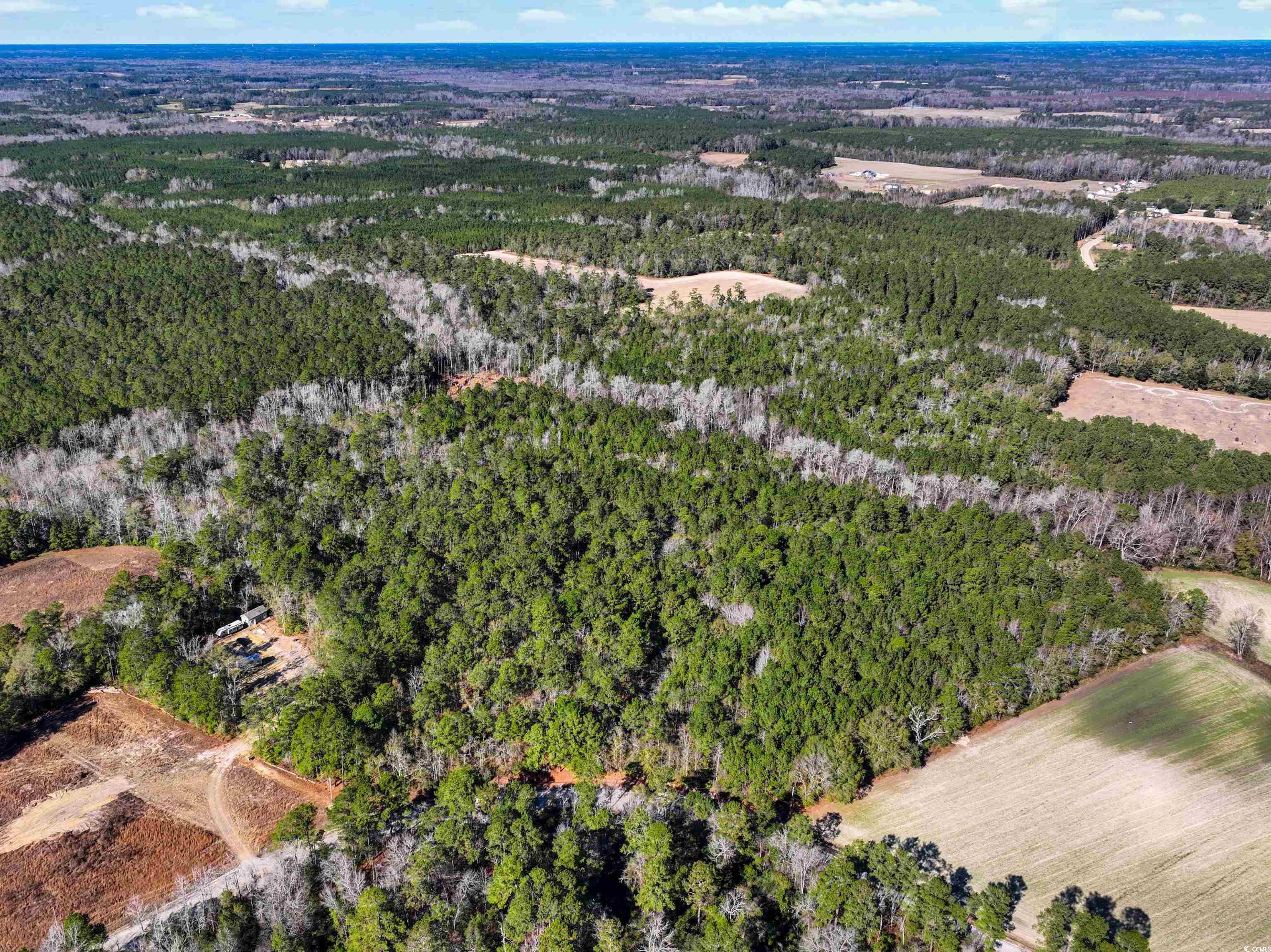 Tbd Sand Hill Bay Road Loris, SC 29569 - Photo 2 of 15