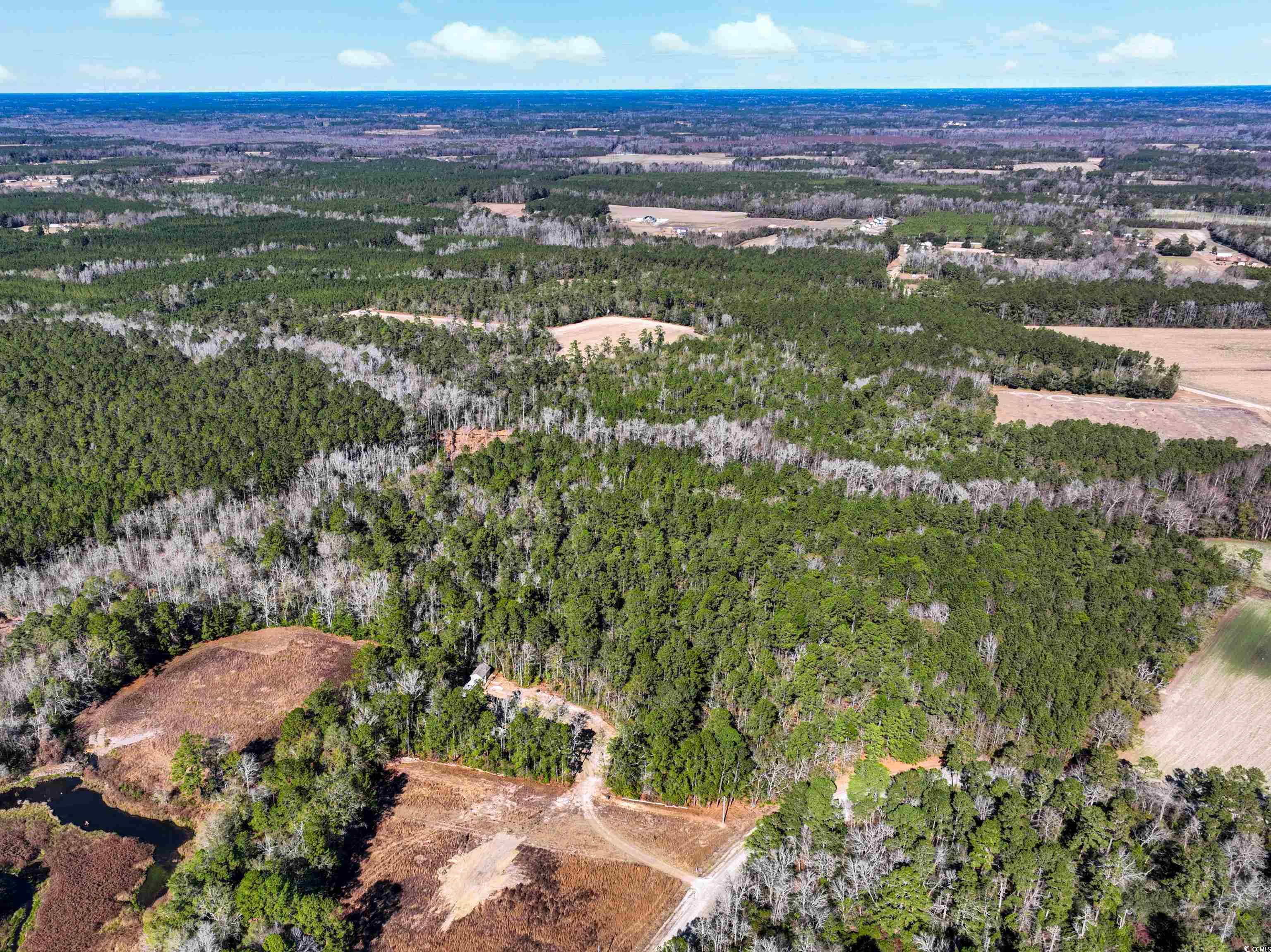 Tbd Sand Hill Bay Road Loris, SC 29569 - Photo 3 of 15