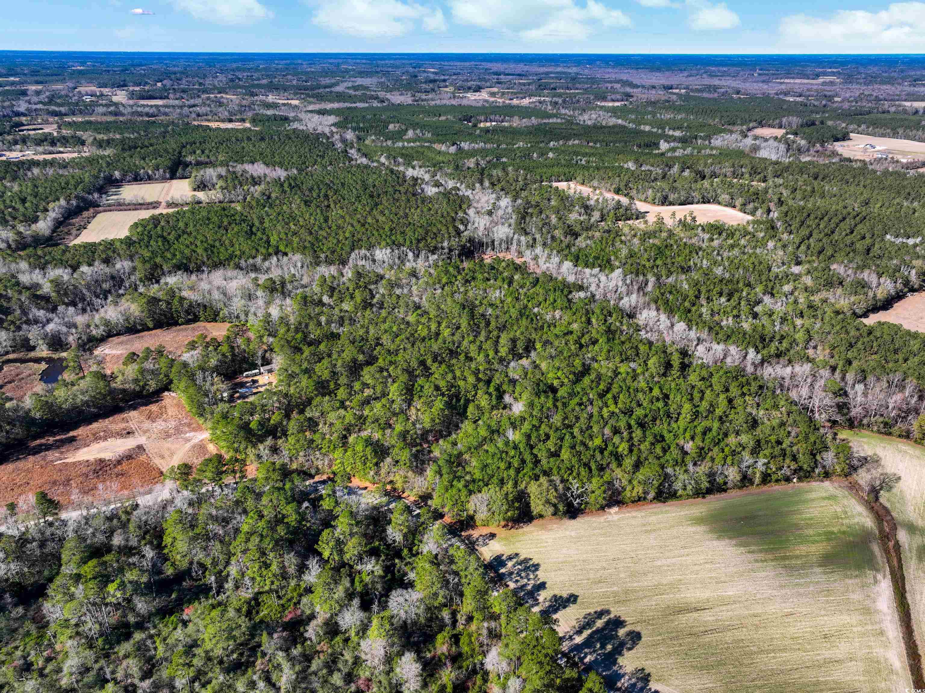 Tbd Sand Hill Bay Road Loris, SC 29569 - Photo 4 of 15