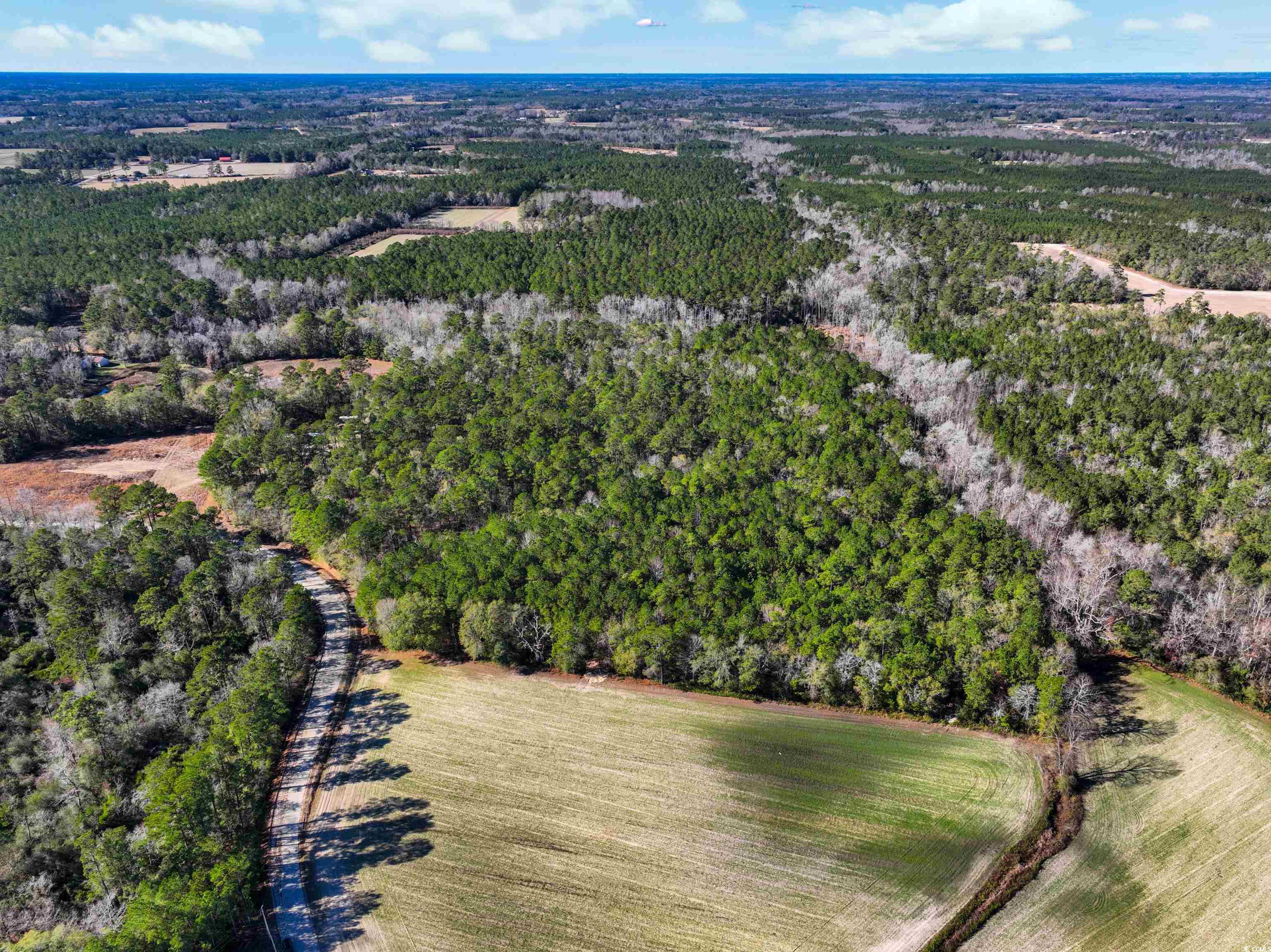 Tbd Sand Hill Bay Road Loris, SC 29569 - Photo 5 of 15