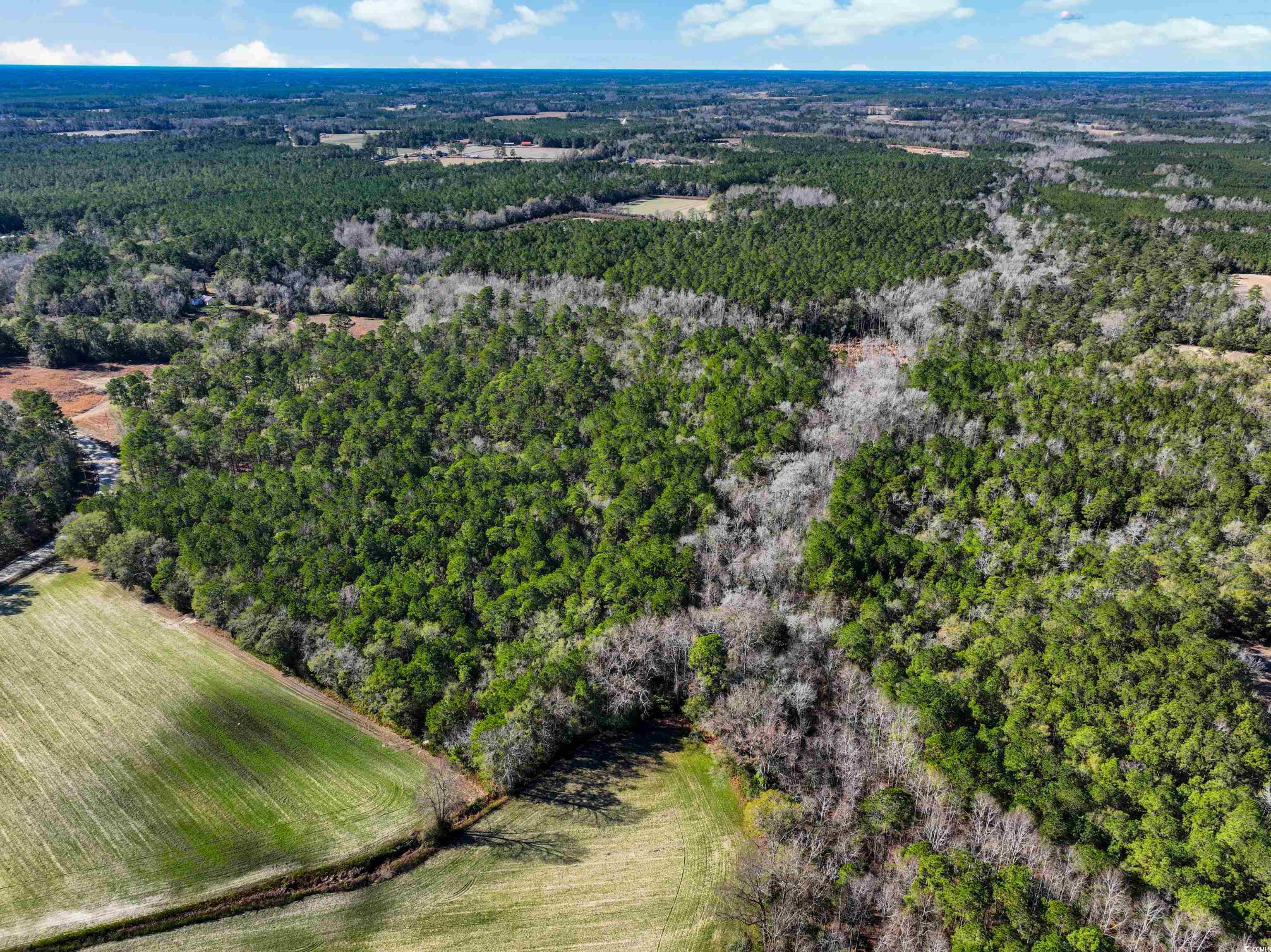 Tbd Sand Hill Bay Road Loris, SC 29569 - Photo 6 of 15