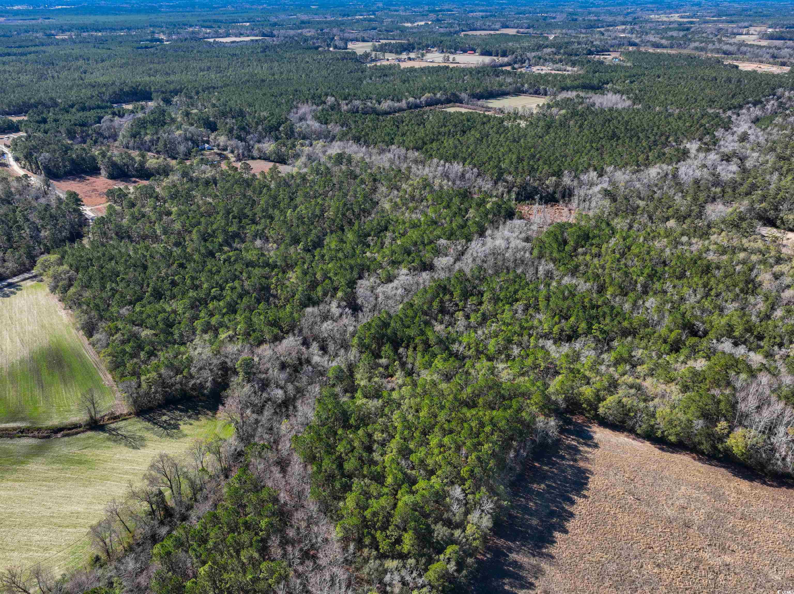 Tbd Sand Hill Bay Road Loris, SC 29569 - Photo 7 of 15