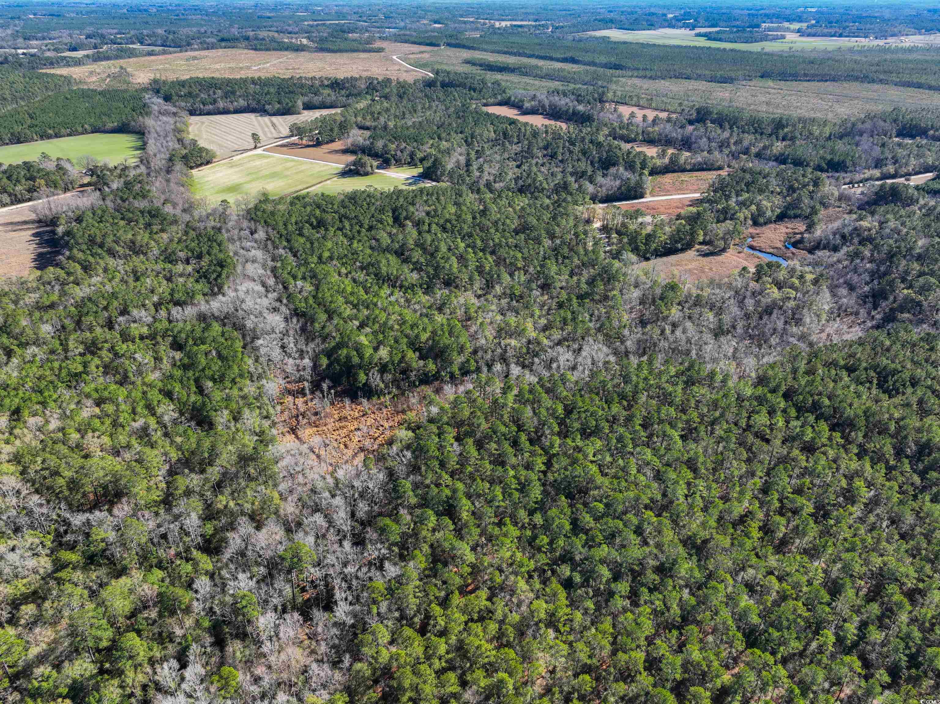 Tbd Sand Hill Bay Road Loris, SC 29569 - Photo 8 of 15