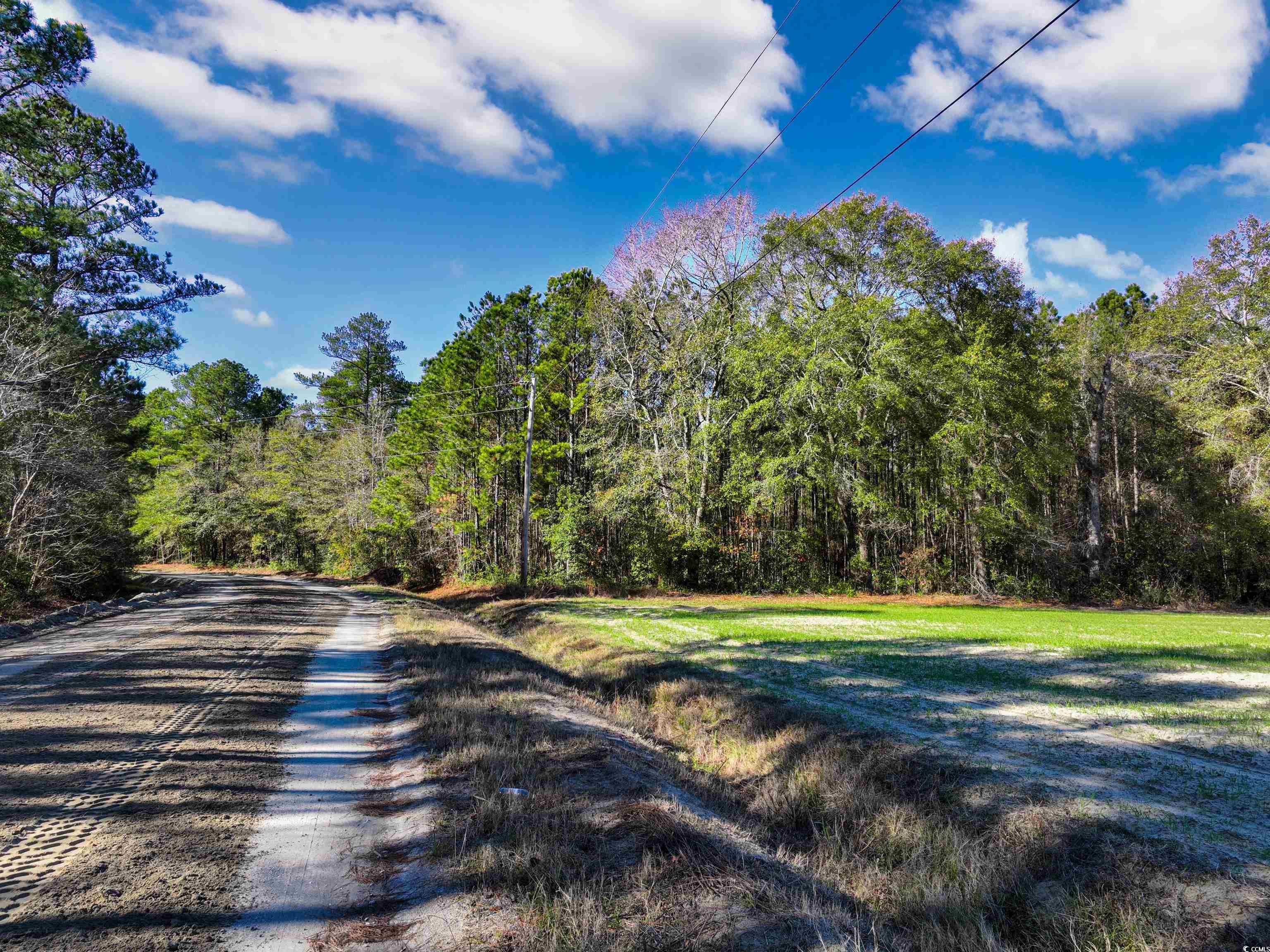 Tbd Sand Hill Bay Road Loris, SC 29569 - Photo 9 of 15