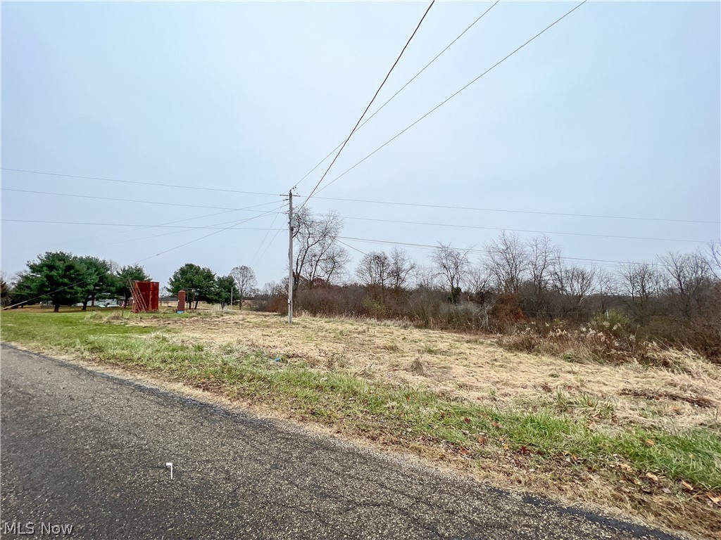Briar Road Magnolia, OH 44643 - Photo 4 of 22