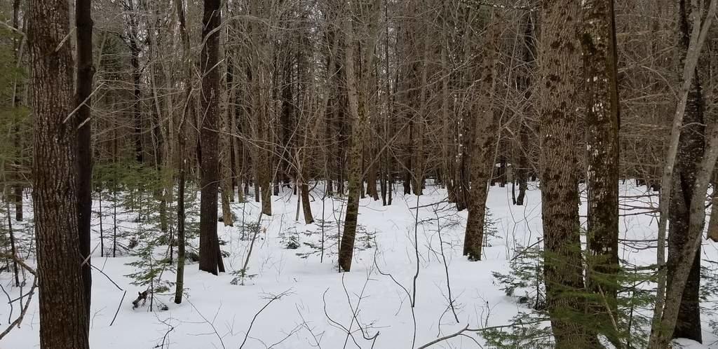 Tbd Campbell Road Harmony, ME 04942 - Photo 9 of 14 Lot