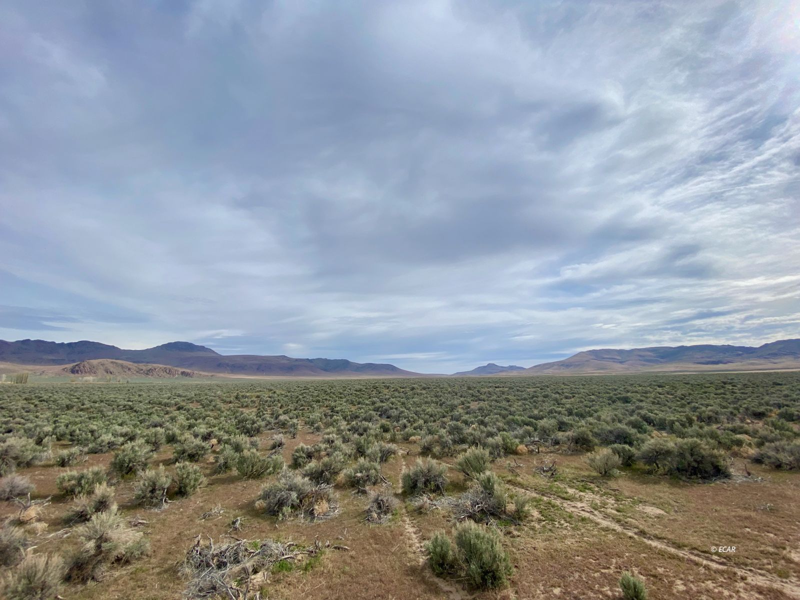 Izzenhood Ranch/ Gap Road Battle Mountain, NV 89820 - Photo 13 of 18