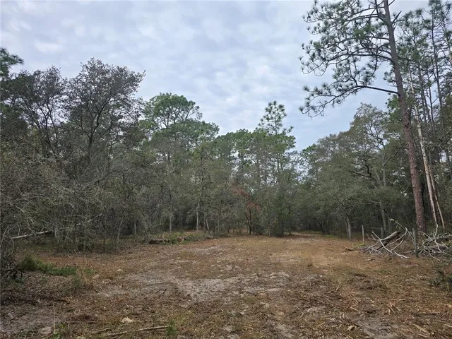 a view of a yard with a tree