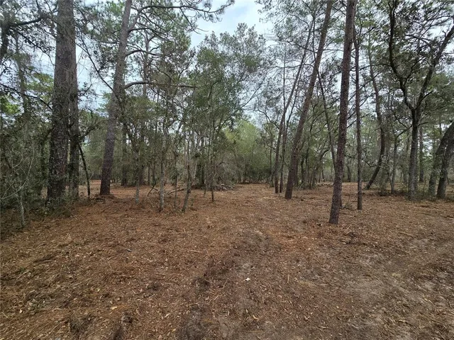 a view of outdoor space and trees