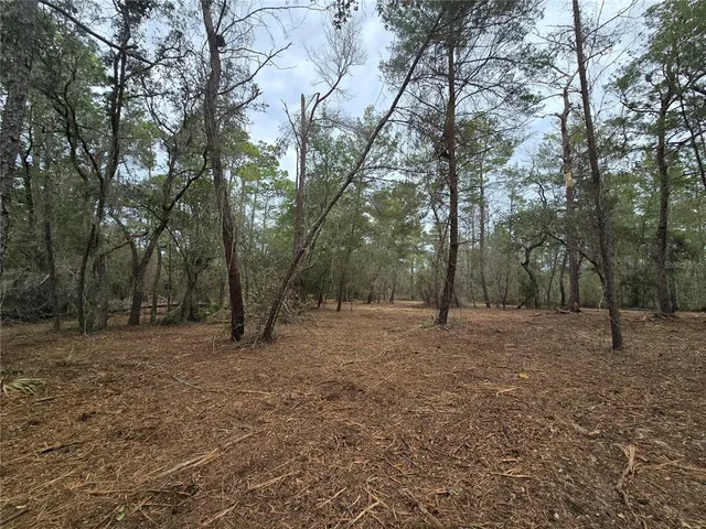 a view of outdoor space with trees