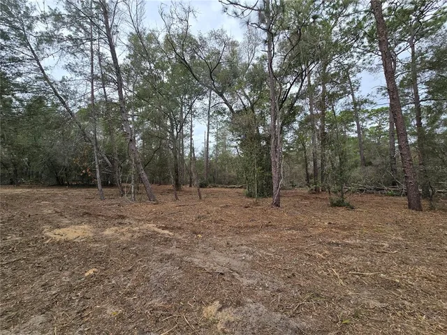 a view of outdoor space with trees