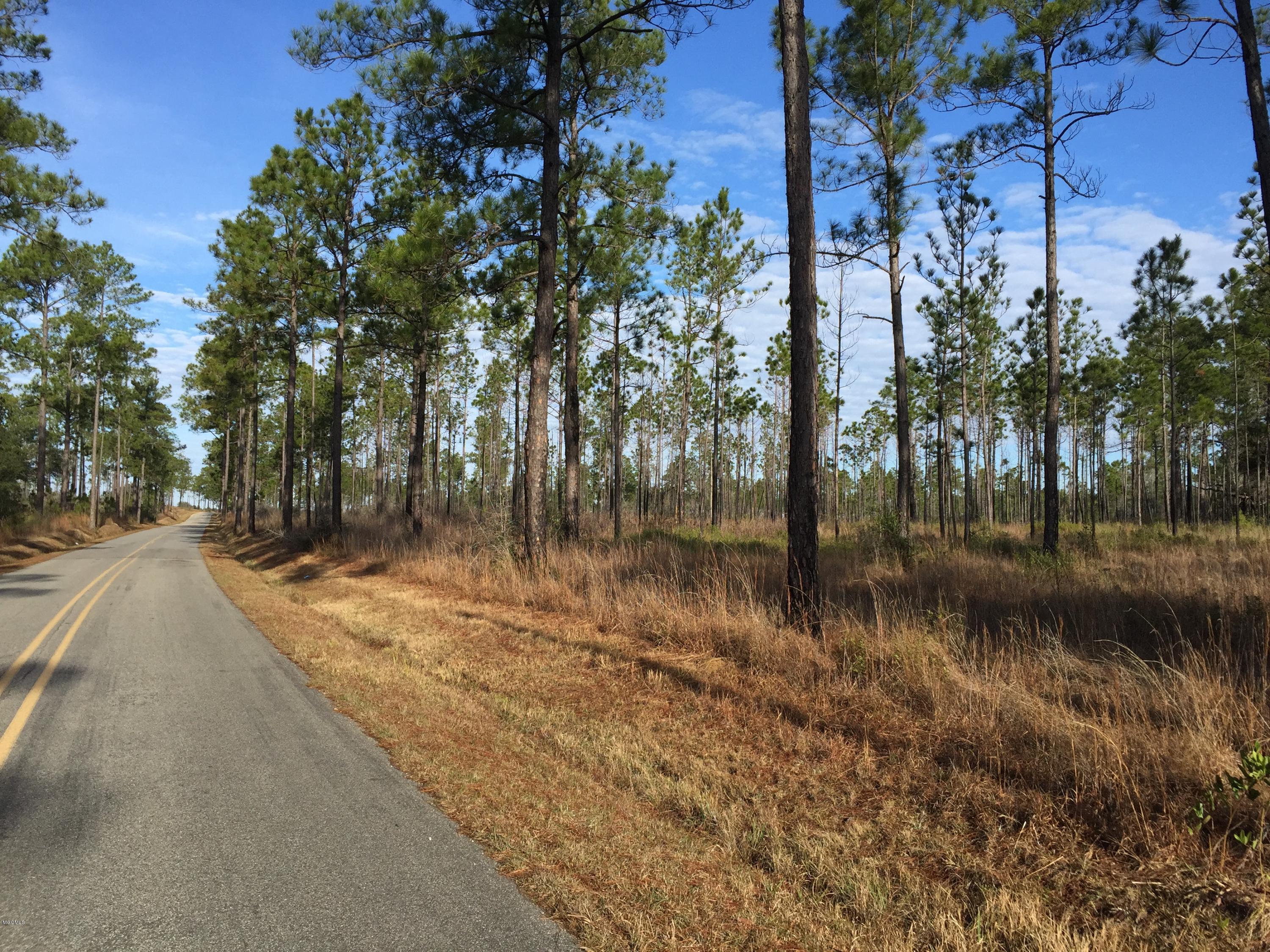 357 Road 357 Kiln, MS 39556 - Photo 2 of 6 IMG_1049