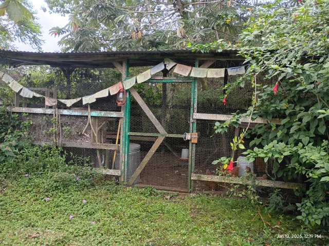 $749,000 | 16-1634 36th Avenue, Keaau, HI 96749