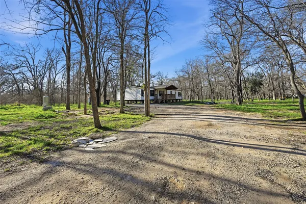 a view of a park with tree s