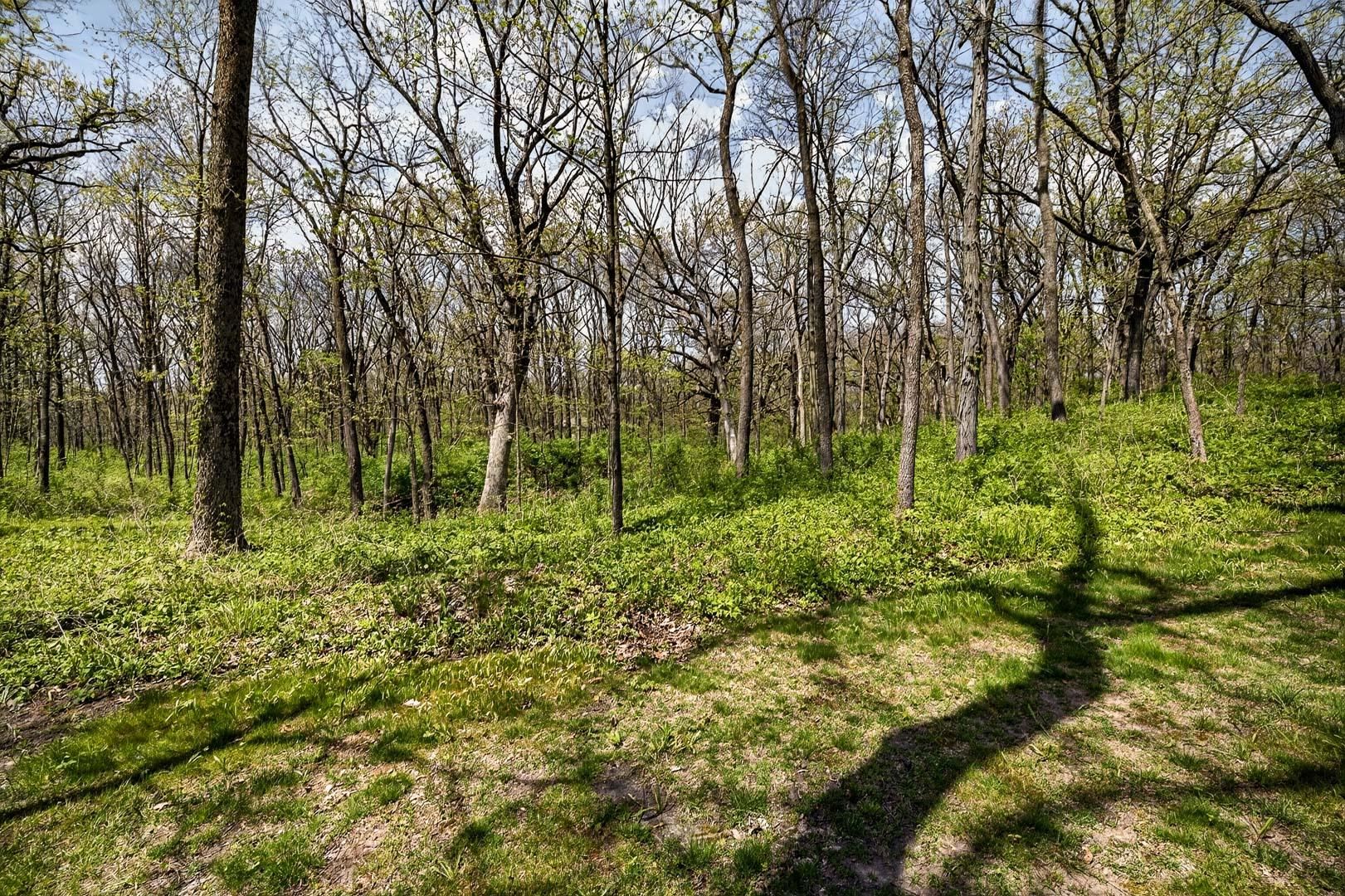 4802 Country Meadows Road Brooklyn, WI 53521 - Photo 83 of 89