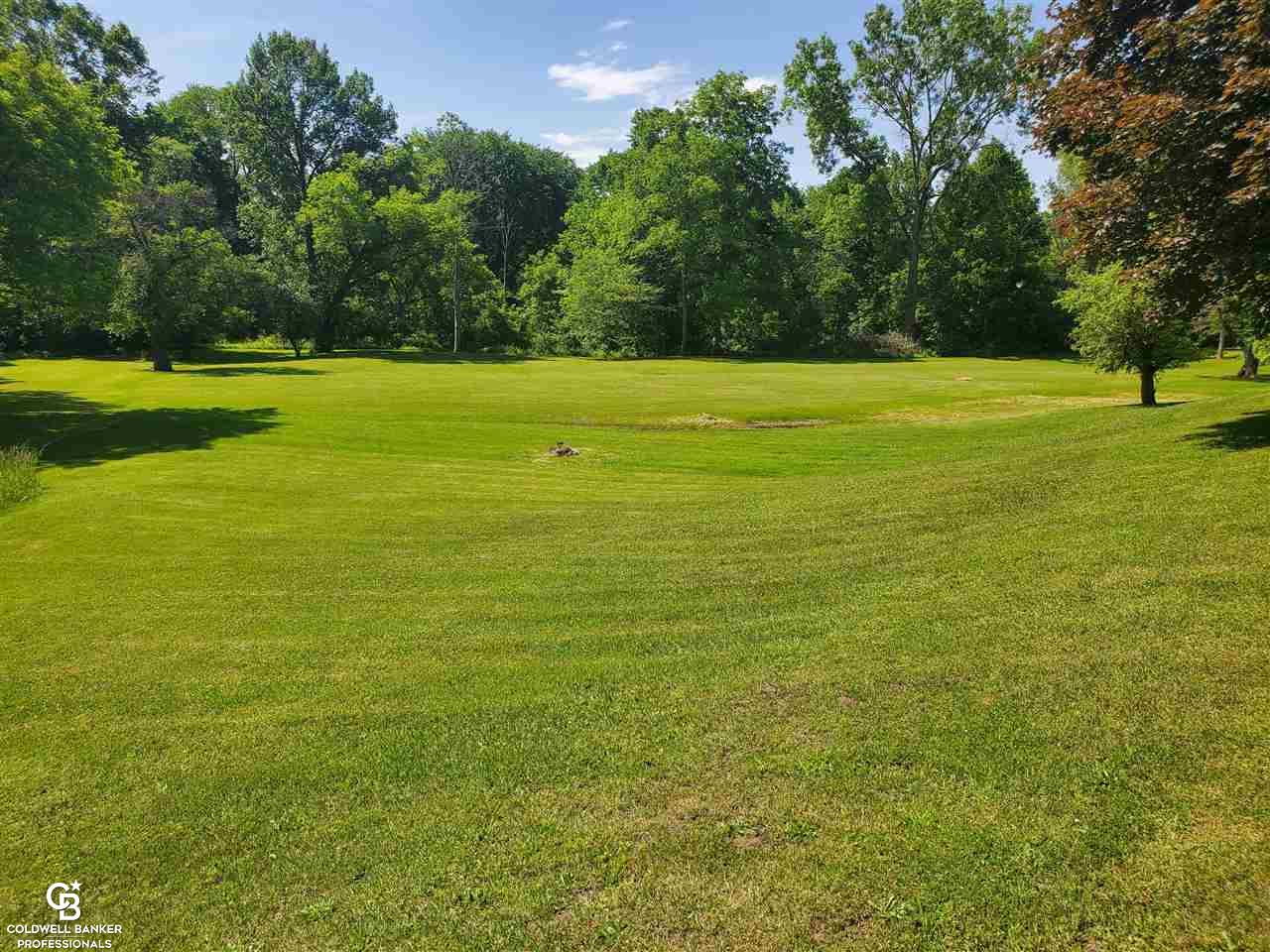 2825 Goodells Road Goodells, MI 48027 - Photo 25 of 35 Yard View 2