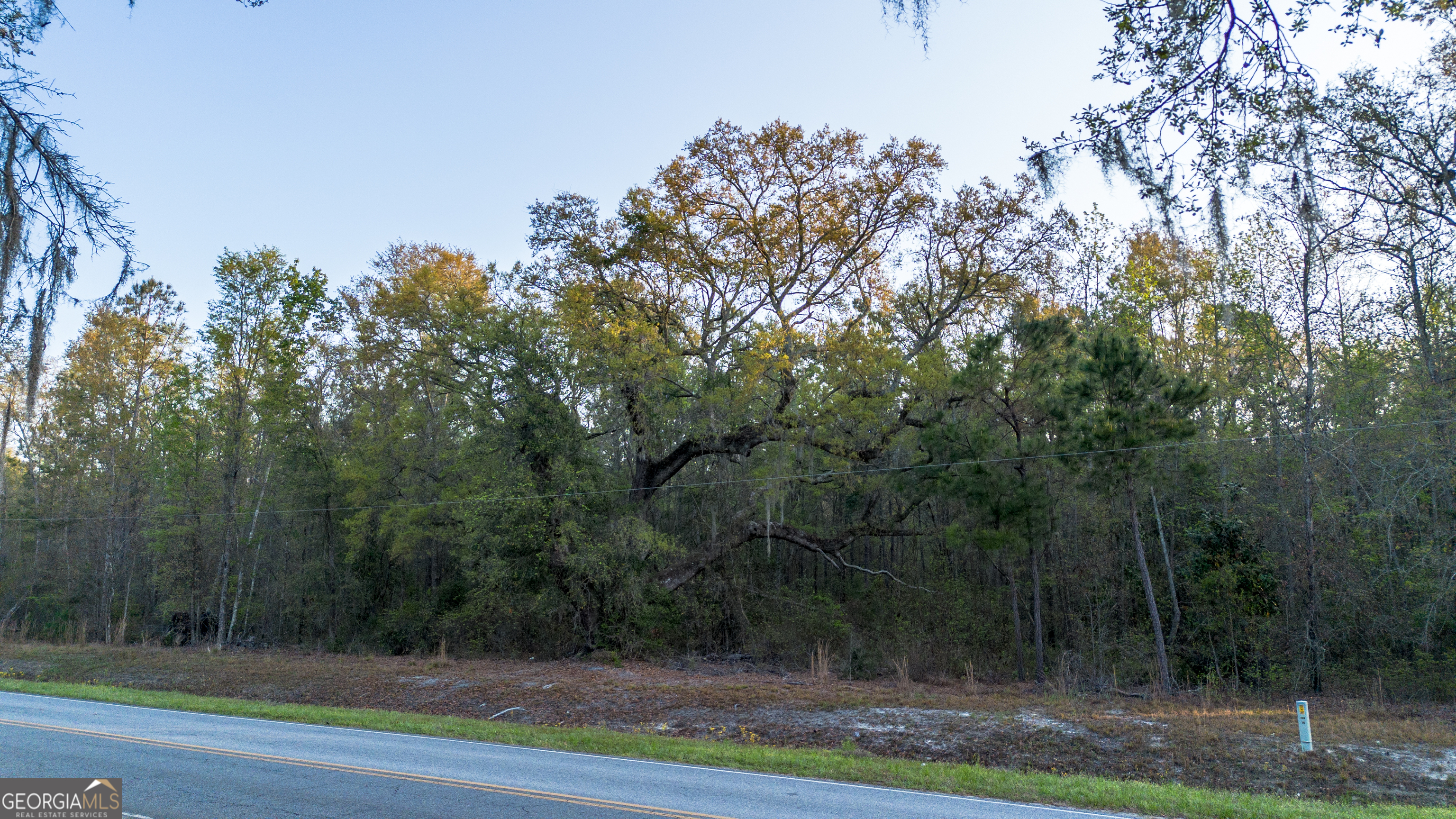 0 Little McCall Road Rincon, GA 31326 - Photo 10 of 12