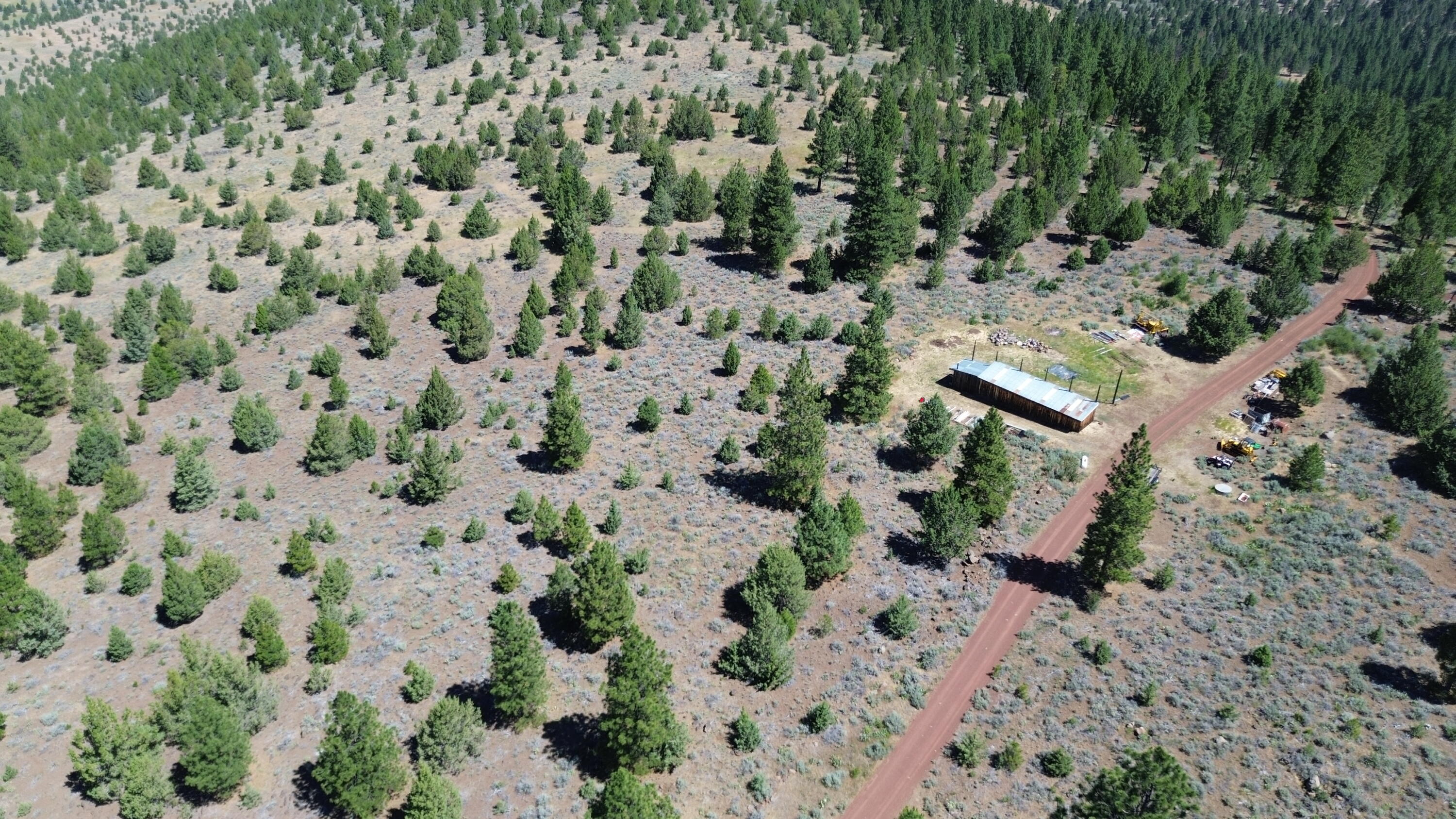 542-405 Punkin Center Road Bieber, CA 96009 - Photo 56 of 127 DJI_0407