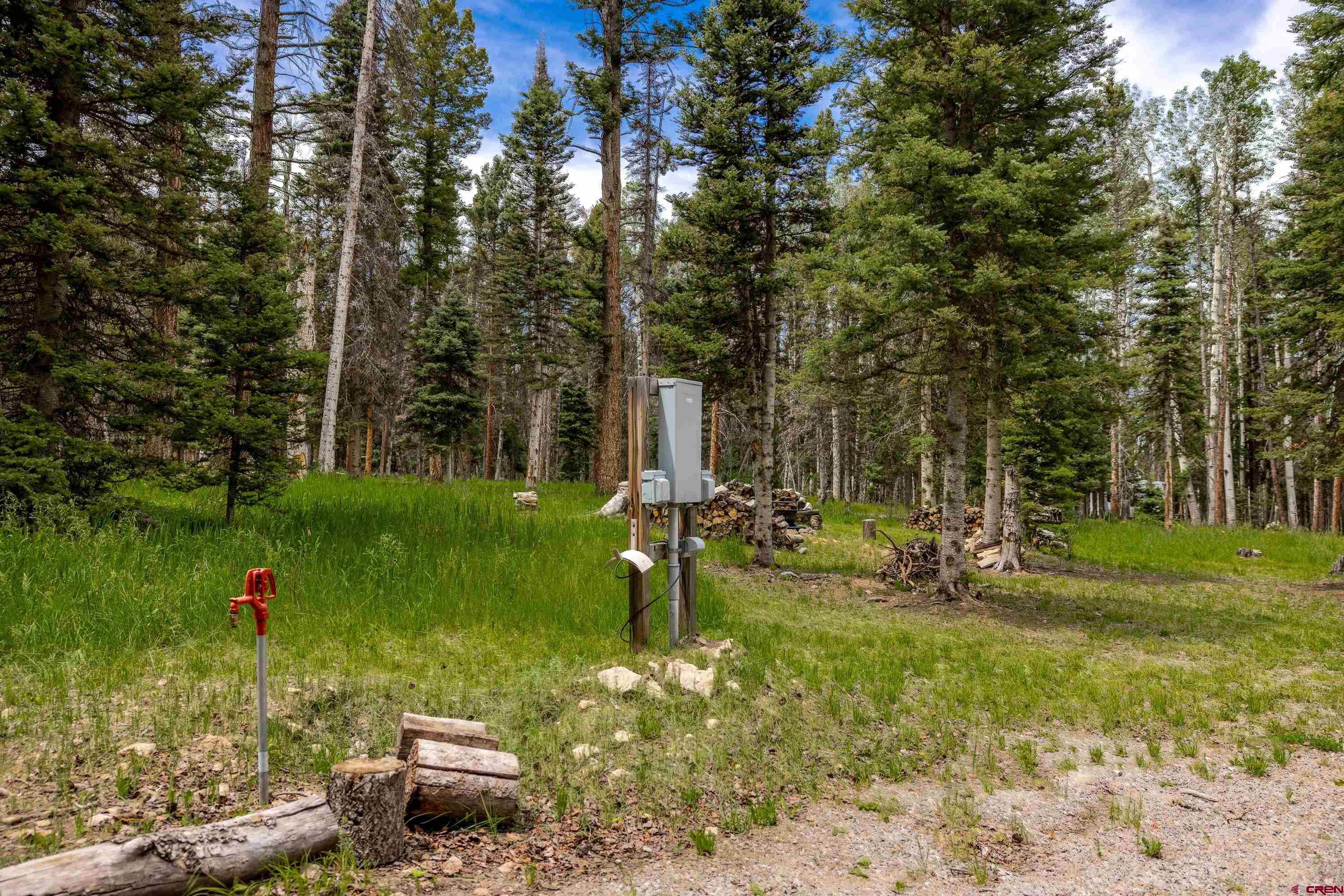 601 Balsam Road Cimarron, CO 81220 - Photo 3 of 43