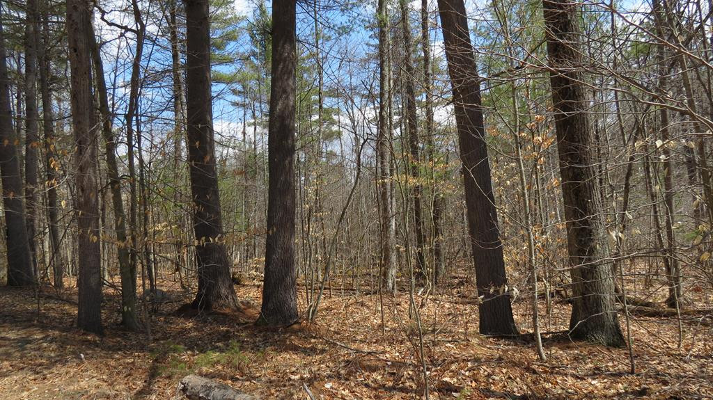 76 Oak Hollow Road Jay, NY 12941 - Photo 1 of 2 Gallery Image 1
