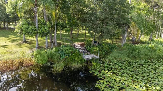 a view of a garden with plants and large trees