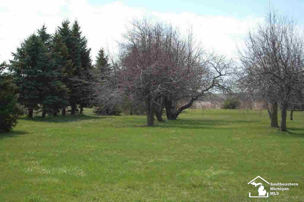 1433 East Sterns Road Erie, MI 48133 - Photo 5 of 13