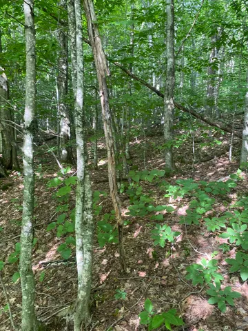 $215,000 | 0 Maple Street, Jay, VT 05859